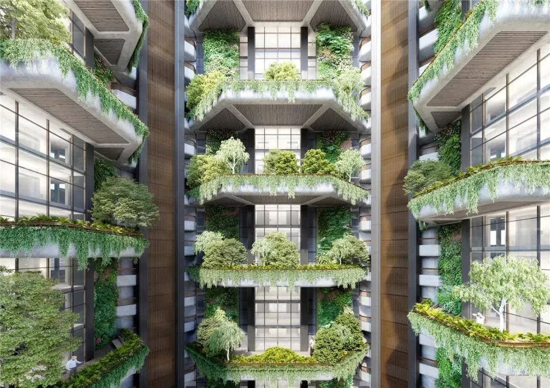 悟空网页版入口 悟空网页版入口